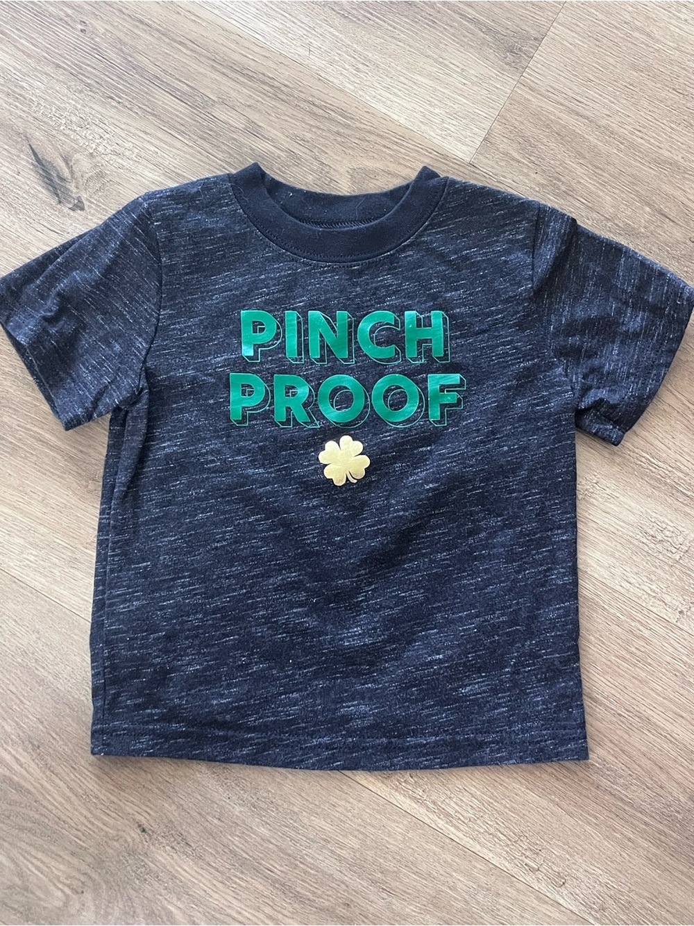 Pinch Proof Boys' Graphic Tee 2T